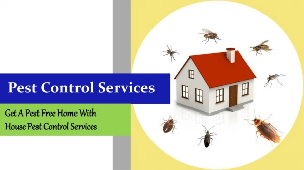 House Pest Control Services In Brisbane