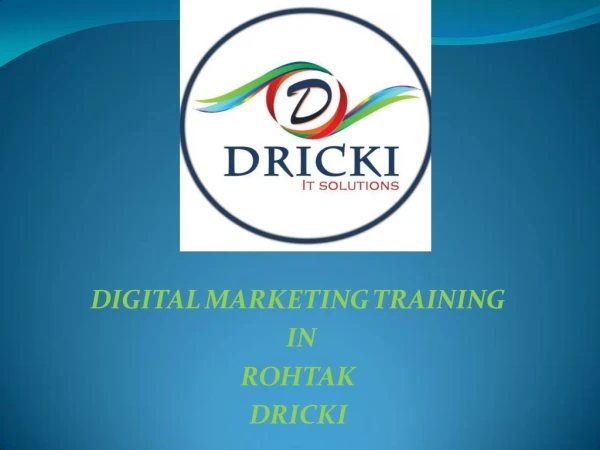 Digital marketing Training In Rohtak - Dricki