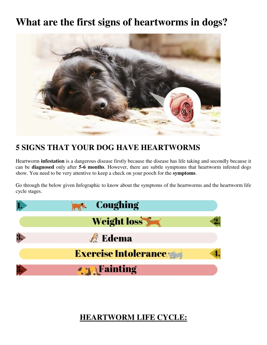 what are the first signs of heartworms in dogs