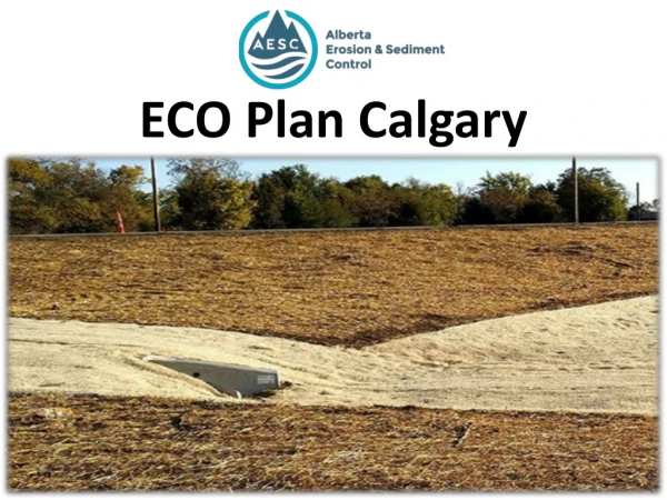 eco plan calgary