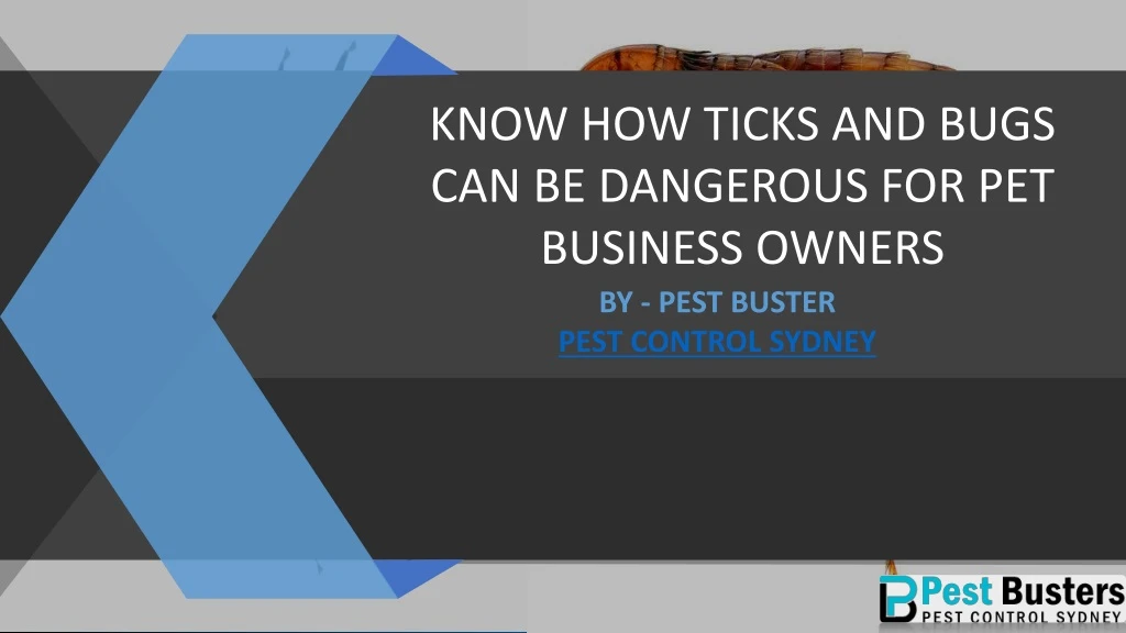 know how ticks and bugs can be dangerous