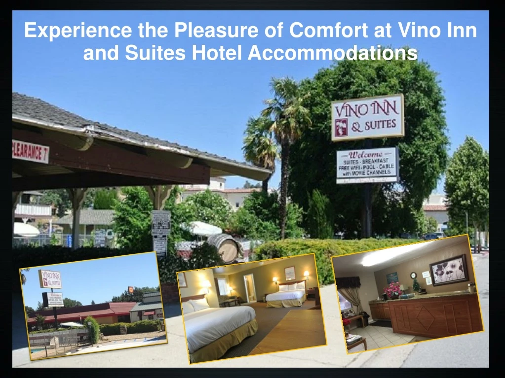 experience the pleasure of comfort at vino
