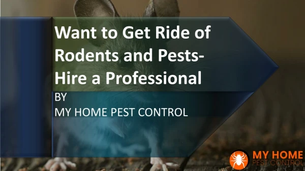 Want to Get Ride of Rodents and Pests