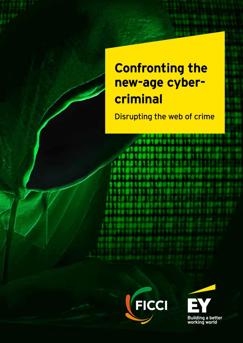 confronting the new age cyber criminal
