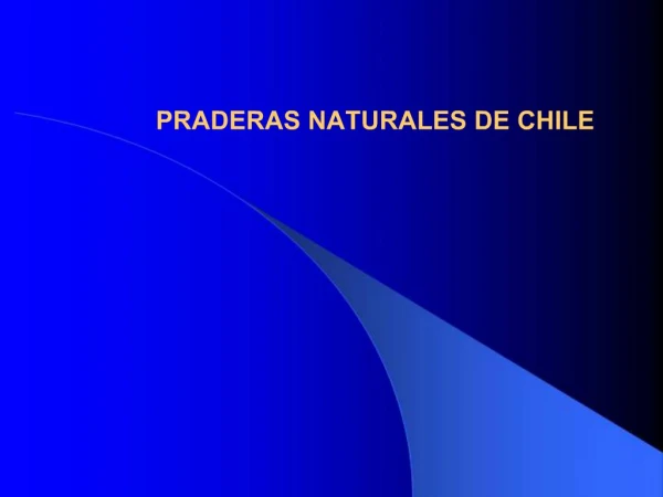 PRADERAS NATURALES DE CHILE