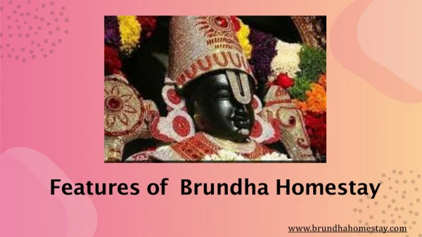 Features of Brundha Homestay