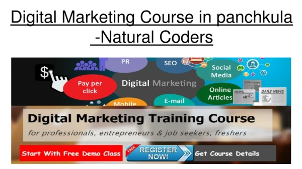 Digital Marketing Course in panchklua