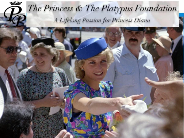 Welcome to The Princess and the Platypus Foundation