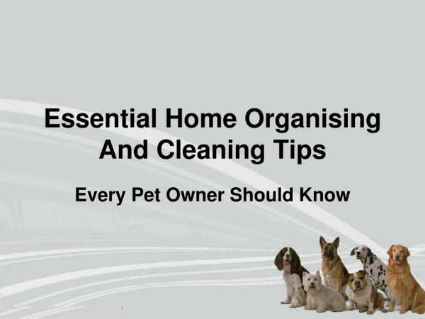 Essential Home Organising and Cleaning Tips Every Pet Owner Should Know