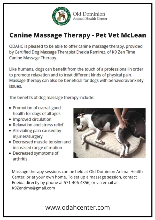 Canine Massage Therapy - Pet Vet McLean