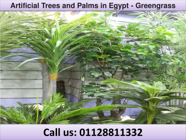 Artificial Trees and Palms in Egypt - Greengrass