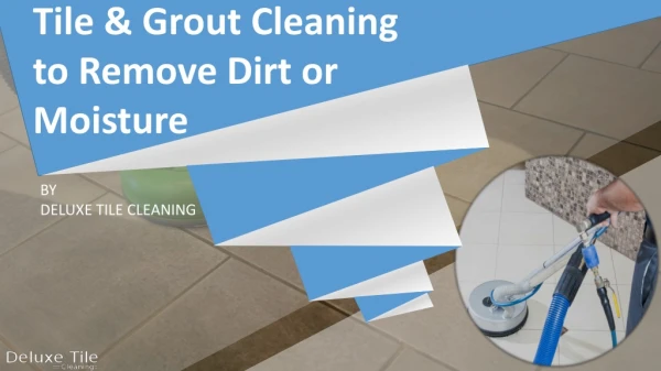 Tile & Grout Cleaning to Remove Dirt or Moisture