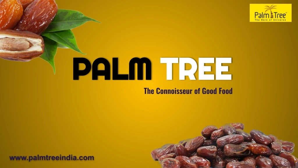 palm palm tree the connoisseur of good food