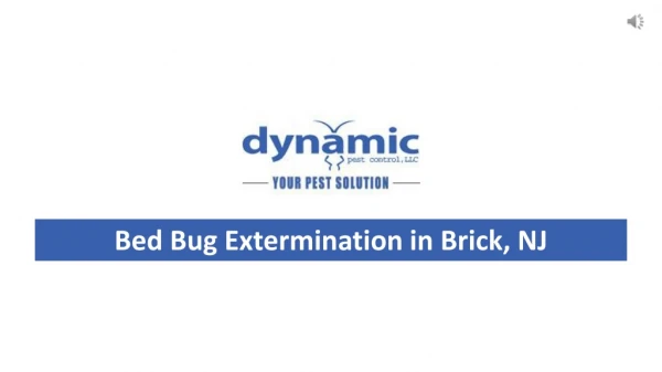 Bed Bug Extermination in Brick, NJ (732.505.3277)