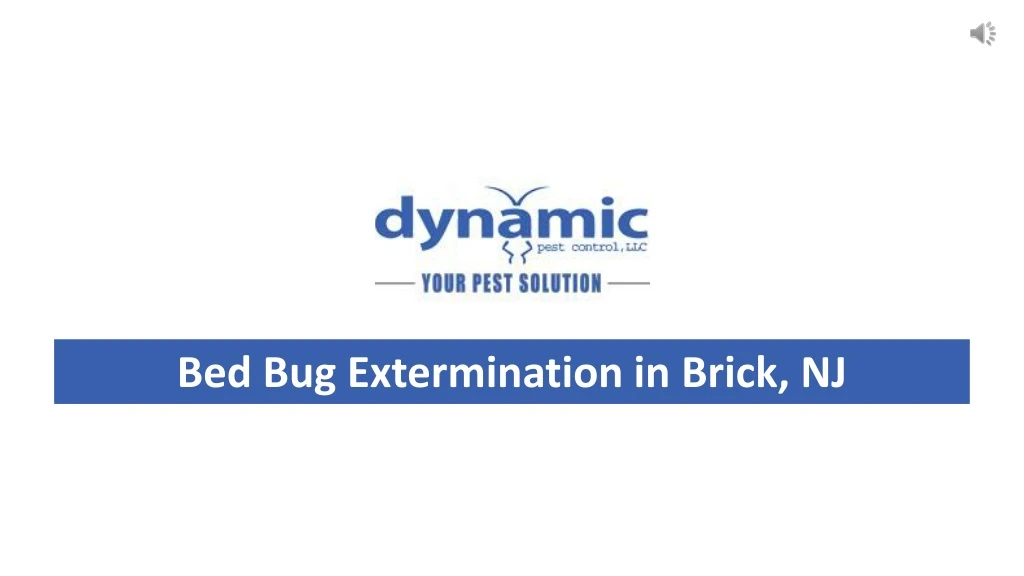 bed bug extermination in brick nj
