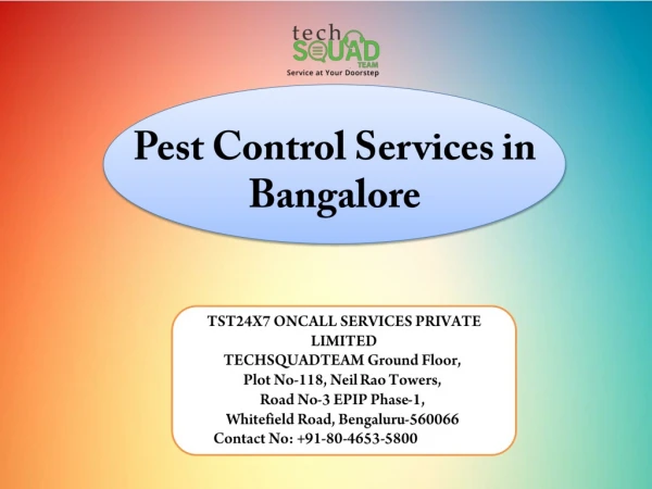 Techsquadteam Pest Control Services in Bangalore