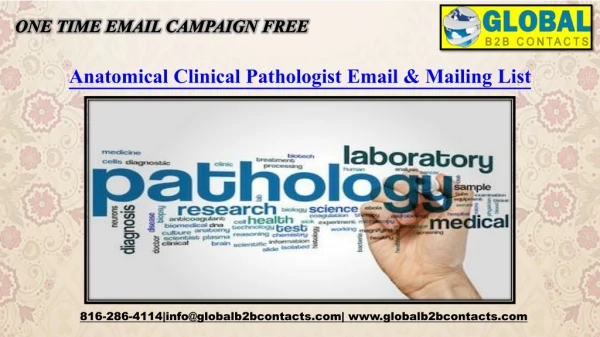 one time email campaign free