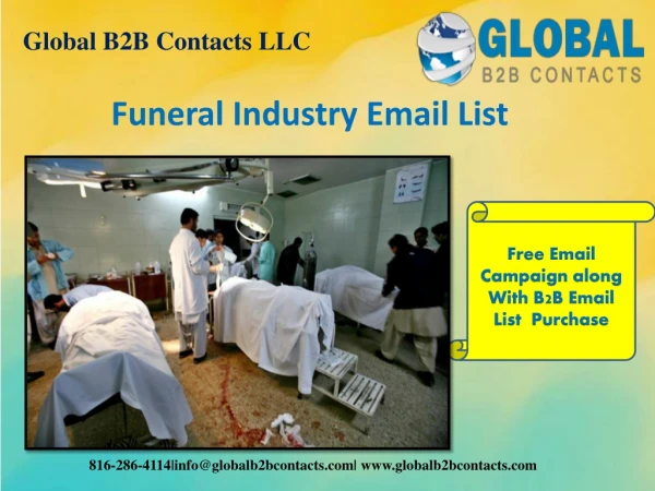global b2b contacts llc