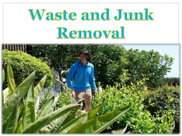 Waste and Junk Removal