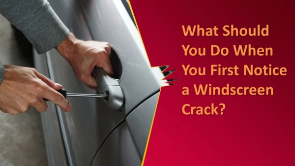 What Should You Do When You First Notice a Windscreen Crack