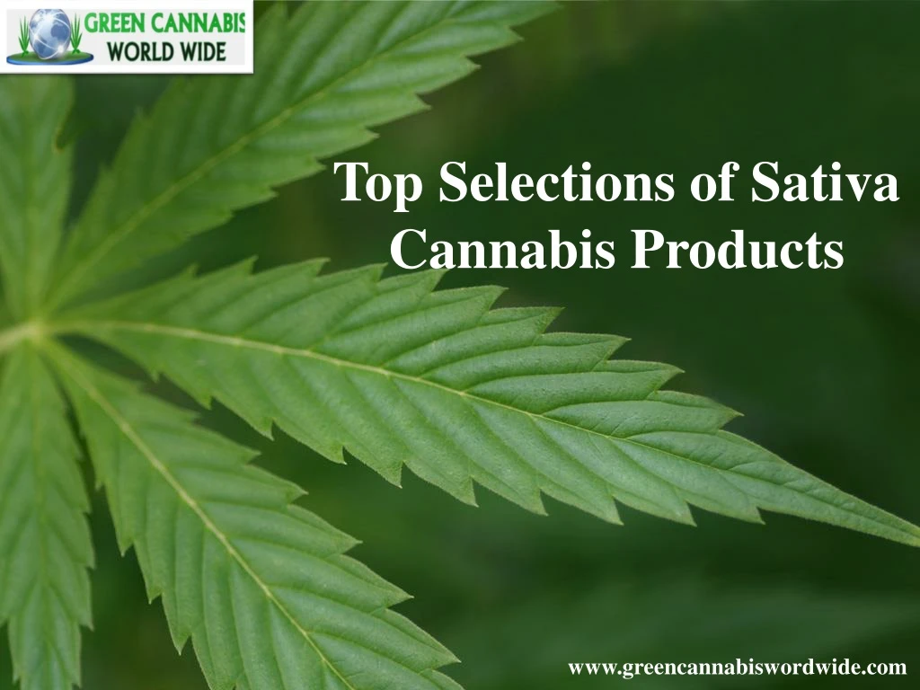 top selections of sativa cannabis products