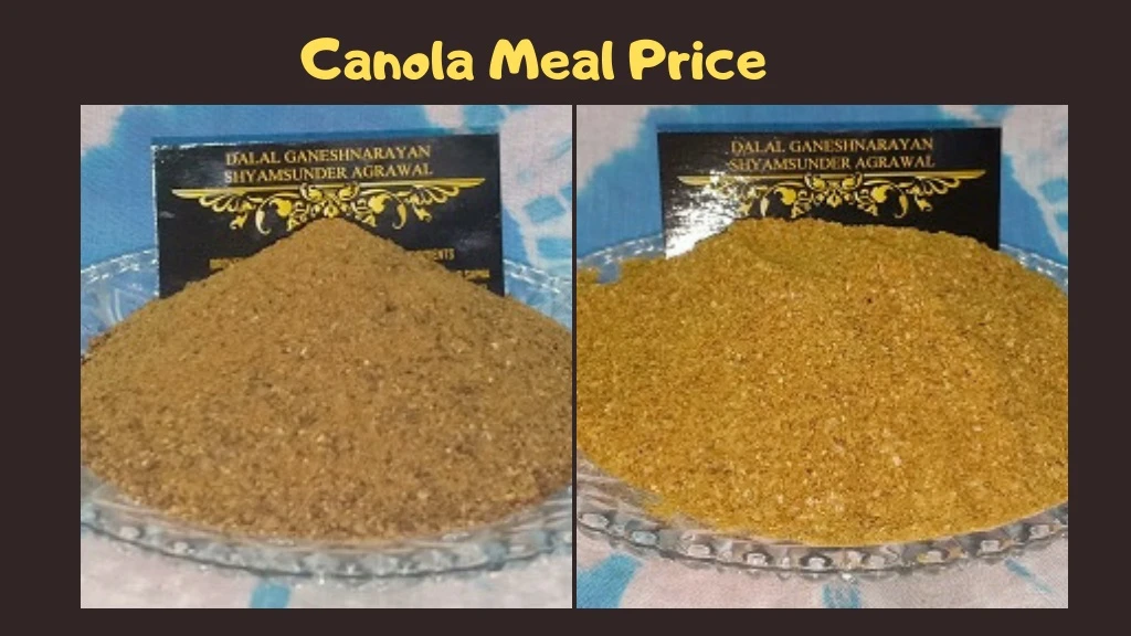 canola meal price