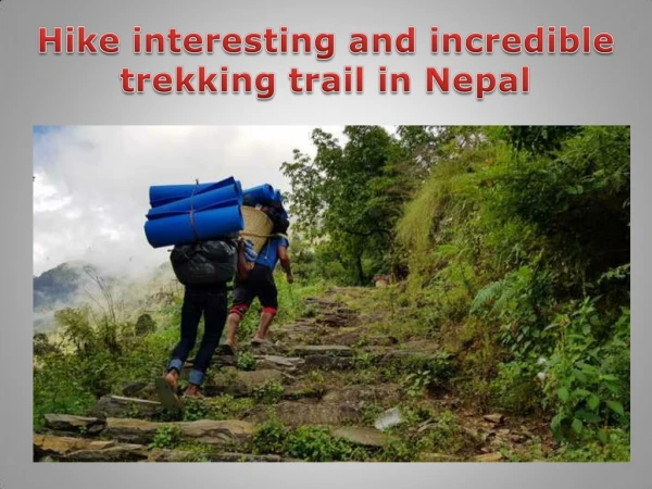 Hike interesting and incredible trekking trail in Nepal