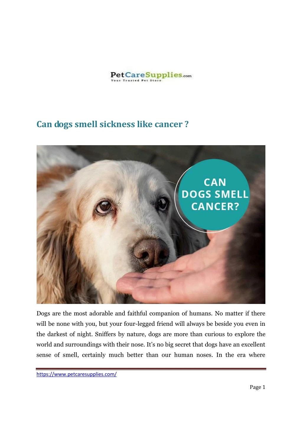 ppt-can-dogs-smell-sickness-like-cancer-powerpoint-presentation-free