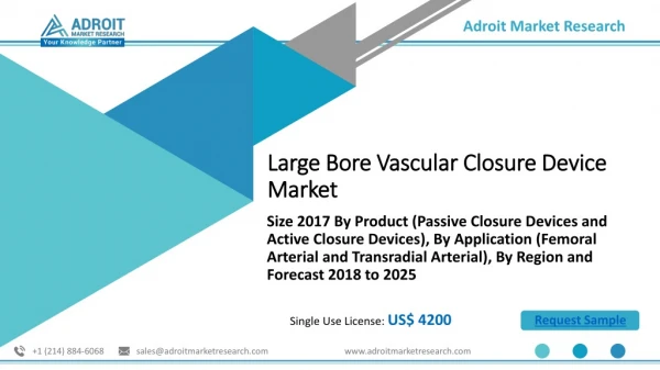 Large Bore Vascular Closure Device Market