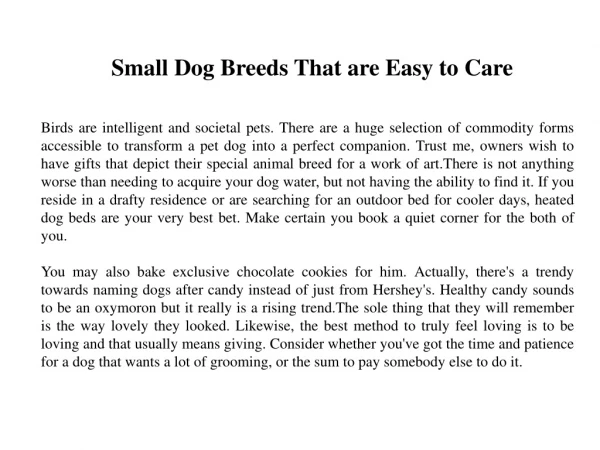 Small Dog Breeds That are Easy to Care