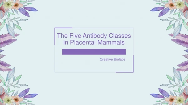 The Five Antibody Classes in Placental Mammals