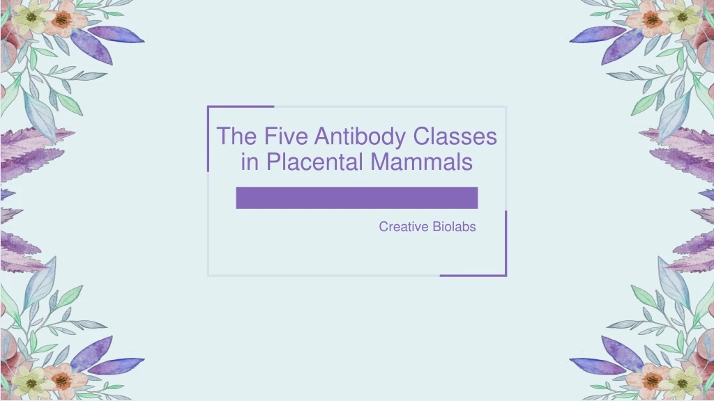 the five antibody classes in placental mammals
