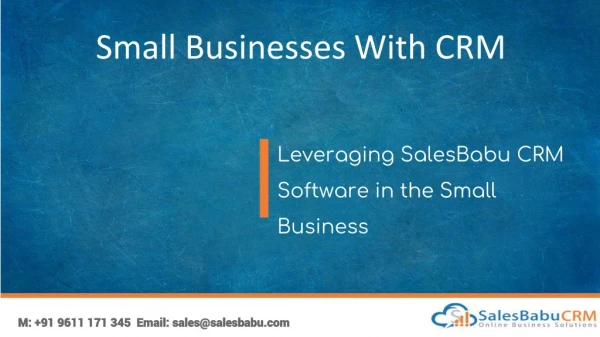 Leveraging SalesBabu CRM Software in the Small Business
