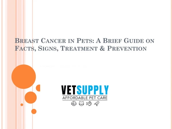 Breast Cancer in Pets: A Brief Guide on Facts, Signs, Treatment & Prevention