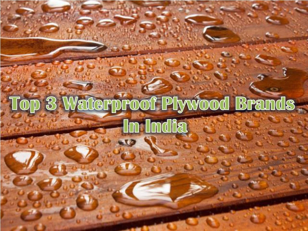 top 3 waterproof plywood brands in india