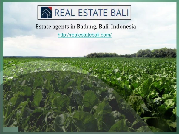 Land for Sale in Ubud