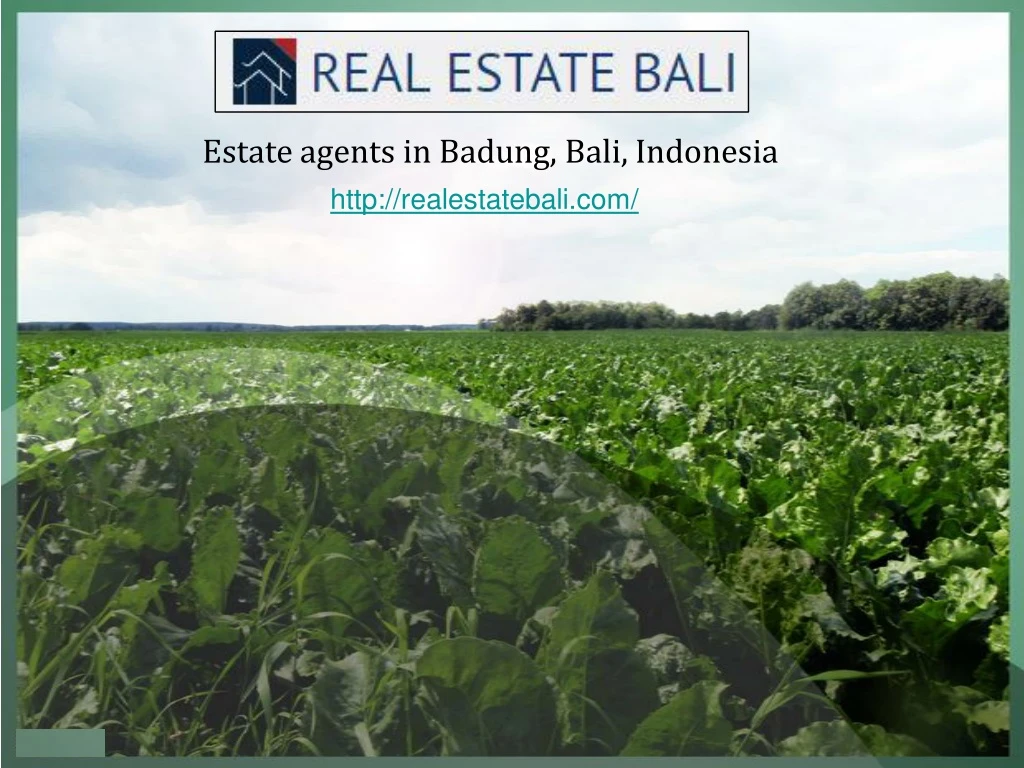 estate agents in badung bali indonesia http