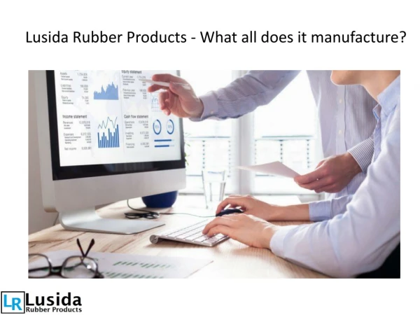 Lusida Rubber Products - What all does it manufacture?