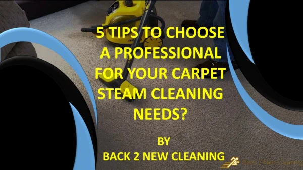 5 Tips to Choose a Professional for your Carpet Steam Cleaning Needs?