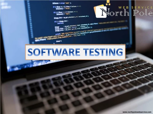 Software Testing PDF