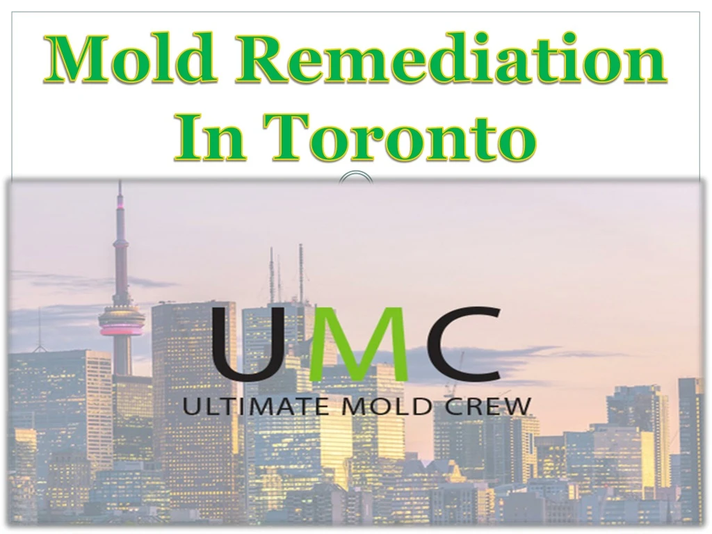 mold remediation in toronto