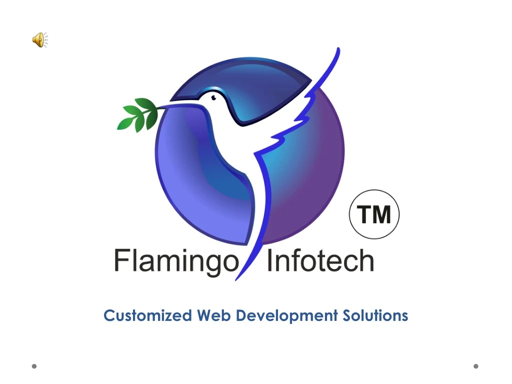 customized web development solutions