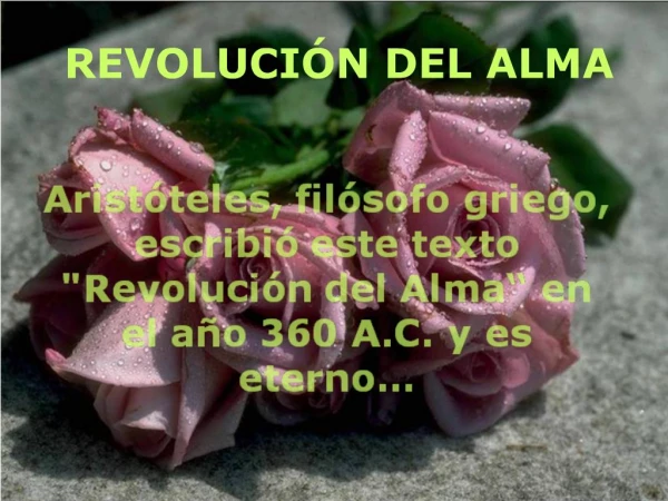 REVOLUCI N DEL ALMA