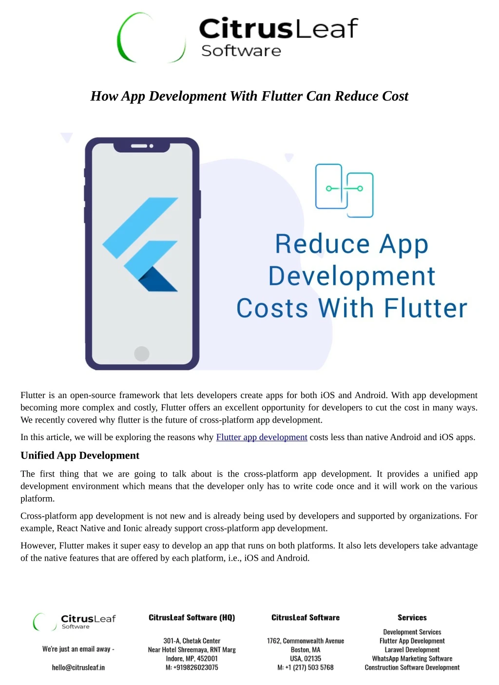 how app development with flutter can reduce cost