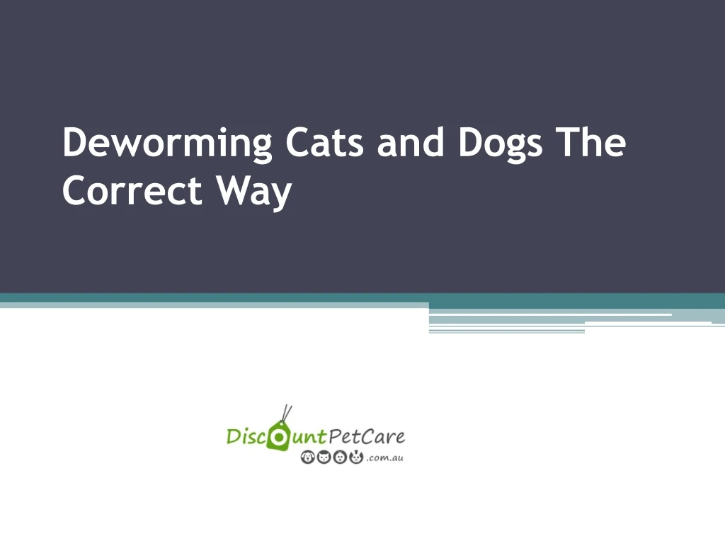 deworming cats and dogs the correct way