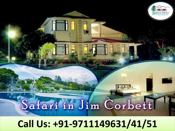 call us 91 9711149631 41 51