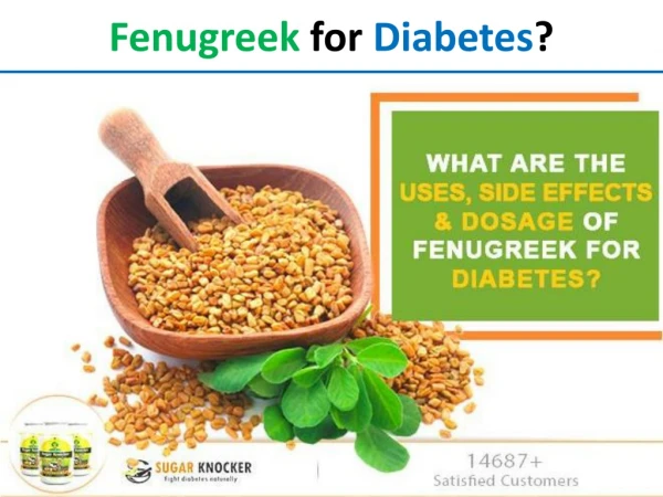 What are the uses, side effects, & dosage of Fenugreek for Diabetes?