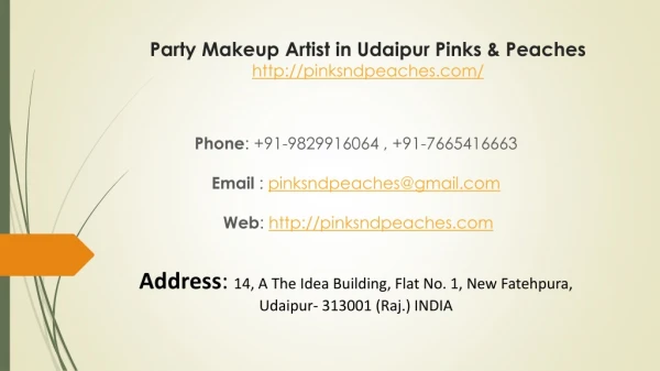 Party Makeup Artist in Udaipur