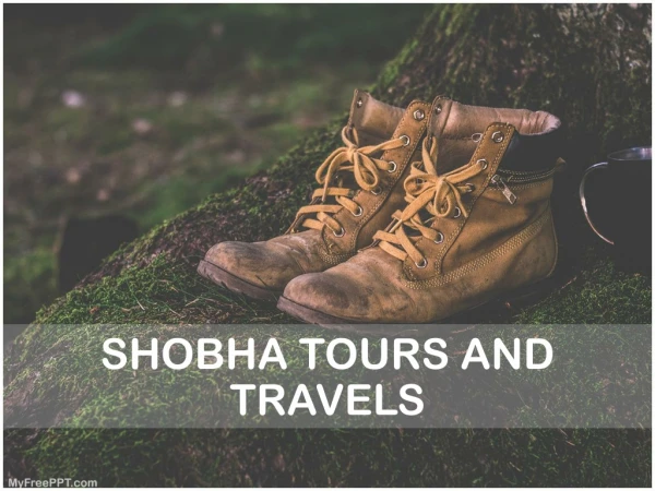 Travel Agency In Udaipur - Shobha Tours