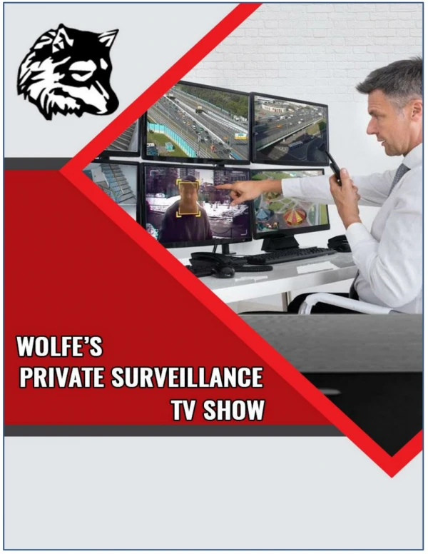 Wolfe’s Private Surveillance TV Show – Revealing Solved Cases in a Whole New Way